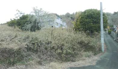 川辺郡猪名川町木津字東山
６５番６６の競売物件