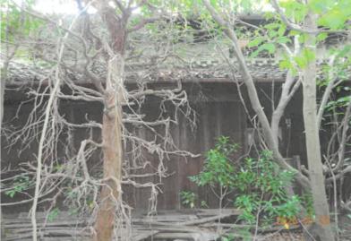 御所市大字柳原
１５９番２の競売物件