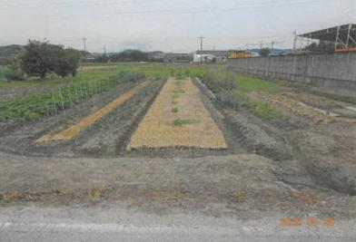 御所市大字柳原
３０４番１の競売物件