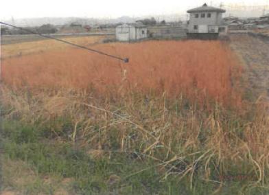 磯城郡三宅町大字但馬
１１７番１の競売物件