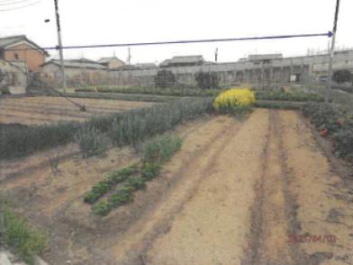 磯城郡三宅町大字上但馬
６４４番の競売物件