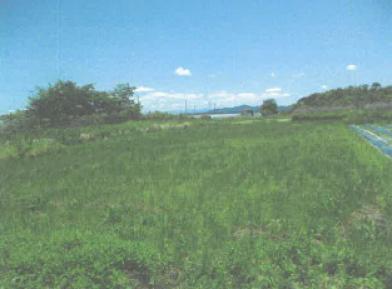 守山市立田町字川原
3477番の競売物件