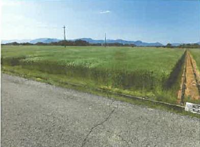 長浜市湖北町海老江字大塚
825番の競売物件