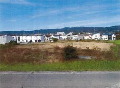 和歌山市楠本字外島
216番1の競売物件
