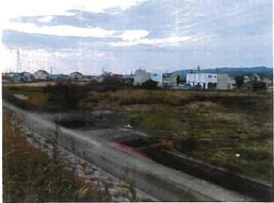 和歌山市楠本字外島
２１７番１の競売物件