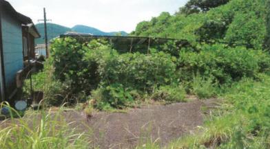 西牟婁郡上富田町下鮎川字加茂
295番3の競売物件