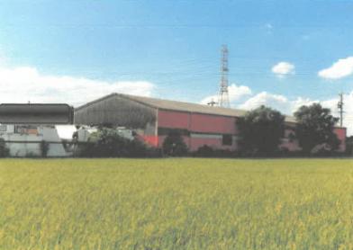 津島市百町字佐多遊
６７番の競売物件