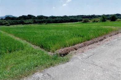 豊橋市石巻本町字池田
５番の競売物件