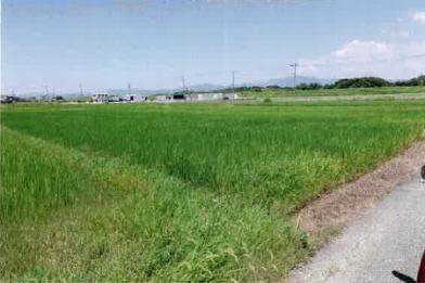 豊橋市石巻本町字大道
５８番の競売物件
