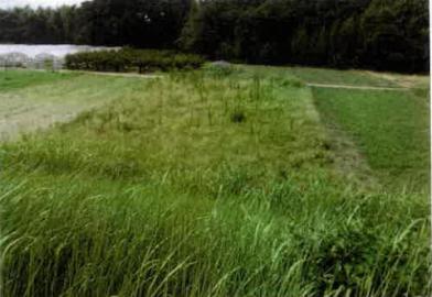 豊橋市石巻本町字茶屋
１３８番の競売物件