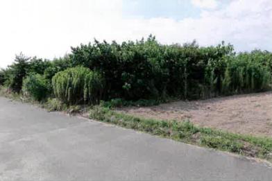 豊橋市石巻本町字西浦
５９番の競売物件