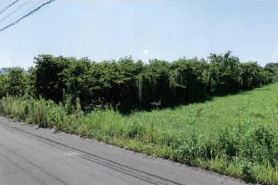 豊橋市石巻本町字城之内
１０２番の競売物件