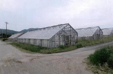田原市日出町植松
８４番の競売物件