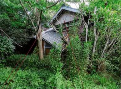 豊橋市嵩山町字向イ
１２番の競売物件