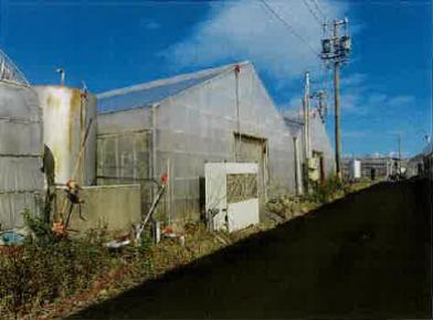 田原市福江町新西畑
５１番の競売物件