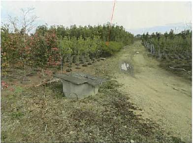 鈴鹿市上野町字西野
１１４９番１の競売物件