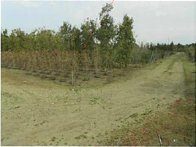 鈴鹿市上野町字西野
１１４５番２の競売物件