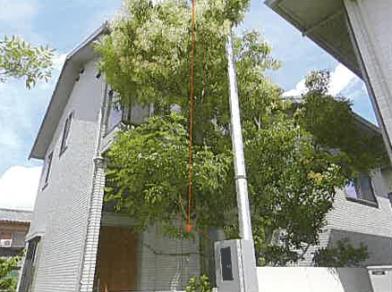 津市大園町
７５番６の競売物件