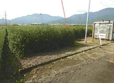 鈴鹿市大久保町字地蔵久保
１６３０番５９の競売物件