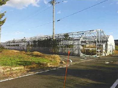 桑名郡木曽岬町大字見入
２４７番２の競売物件