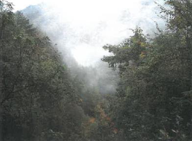 高山市上宝町鼠餅字長沼
787番6の競売物件