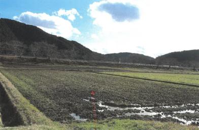 岐阜市彦坂川北
３１１番の競売物件