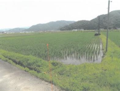 越前市北小山町４０字下狭場
９番の競売物件