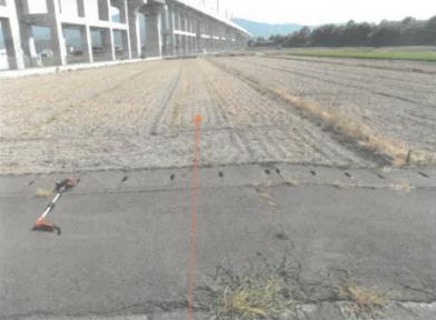 越前市北町５字東向河原
５番１の競売物件