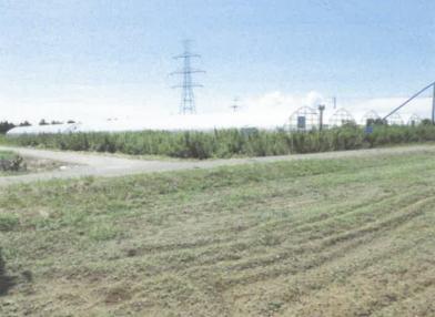 坂井市三国町池上４９字松原畑
４３番の競売物件