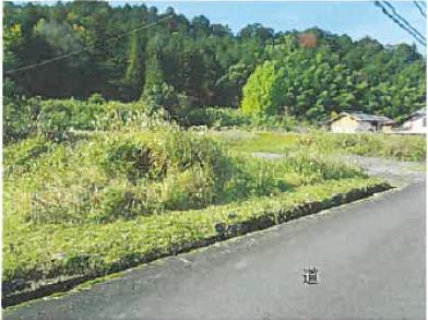 八頭郡八頭町岩渕字段方
２２１番１の競売物件