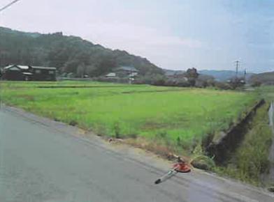 鳥取市国府町法花寺字前田
１１５番１の競売物件