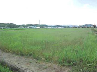 鳥取市国府町法花寺字背戸田
２３６番の競売物件