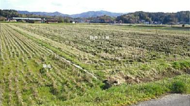 松江市浜佐田町
４１２番の競売物件