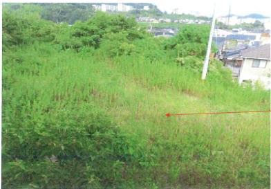 遠賀郡水巻町猪熊五丁目
１７６番１５の競売物件