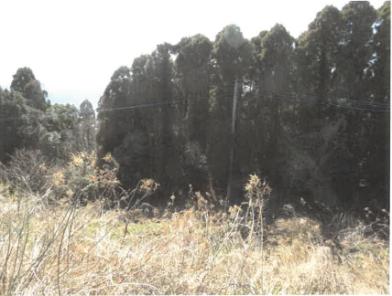 唐津市七山白木字七ツ吹
1885番1の競売物件