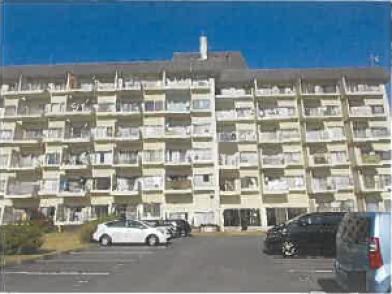 別府市大字野田字名切　３６番地１９、３６番地６　別府市大字野田字太古田　３３番地１４の競売物件