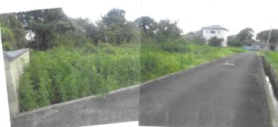 中津市大字角木字土手下
２２５番１の競売物件