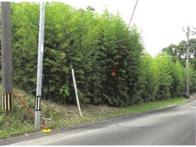 志布志市有明町野井倉字上ノ濱
８２７６番７６の競売物件