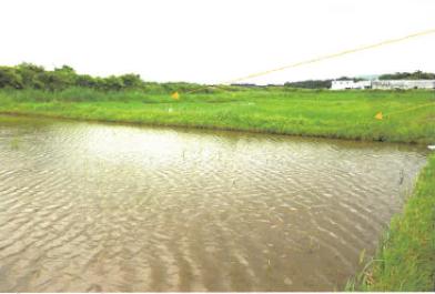 曽於郡大崎町菱田字五反田
１３２番１の競売物件