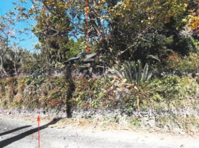 串間市大字北方字東
２７５０番の競売物件