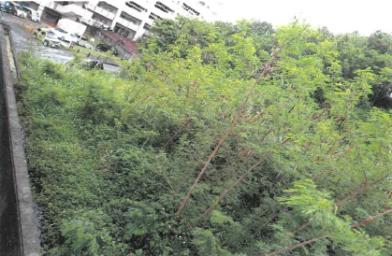 豊見城市字平良大城原
１５８番３２の競売物件