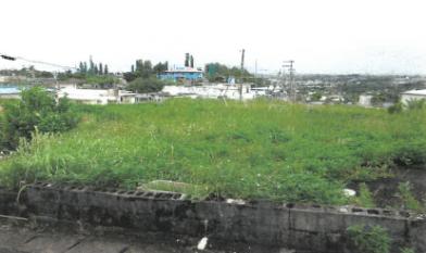 うるま市石川東恩納青木原
１０７１番６の競売物件