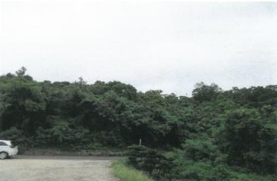 うるま市字塩屋月形原
５９番１の競売物件