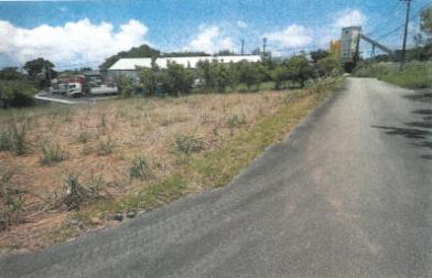 名護市字仲尾次六川原
８７０番３の競売物件