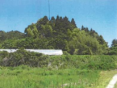宮城郡松島町櫻渡戸字舘ケ沢
４７番の競売物件