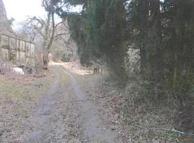 登米市津山町横山字大畑
133番の競売物件