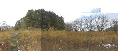 福島市飯野町字入楮田
２番の競売物件