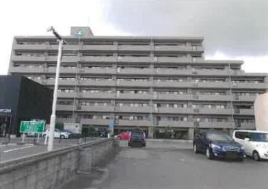 郡山市桑野一丁目１３７番地１の競売物件