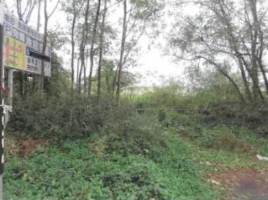 西白河郡矢吹町中町
８１番２の競売物件