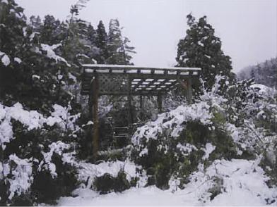 久慈市大川目町第１地割
８１番の競売物件